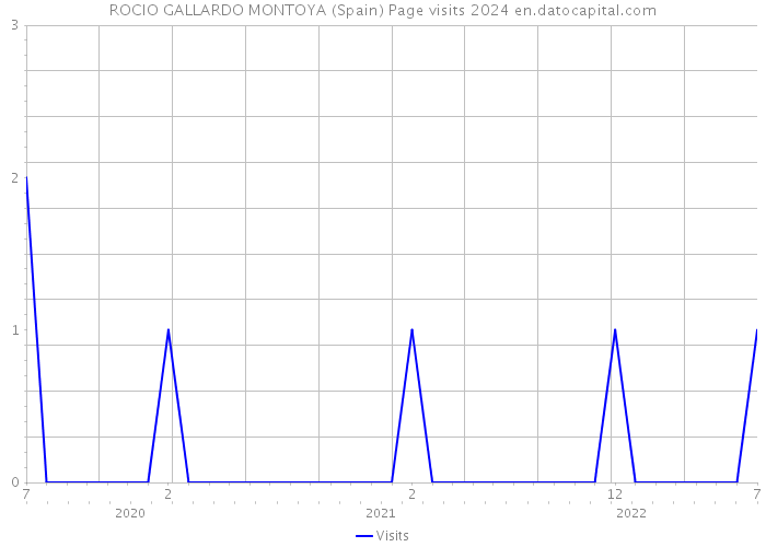 ROCIO GALLARDO MONTOYA (Spain) Page visits 2024 