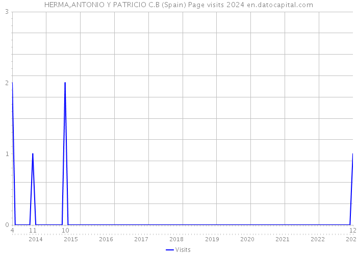 HERMA,ANTONIO Y PATRICIO C.B (Spain) Page visits 2024 