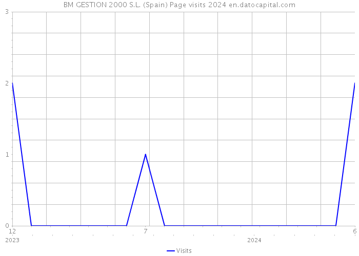 BM GESTION 2000 S.L. (Spain) Page visits 2024 