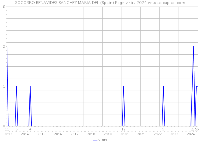 SOCORRO BENAVIDES SANCHEZ MARIA DEL (Spain) Page visits 2024 