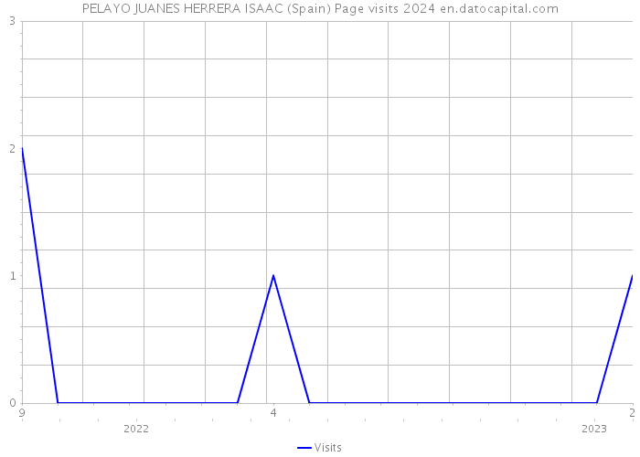 PELAYO JUANES HERRERA ISAAC (Spain) Page visits 2024 
