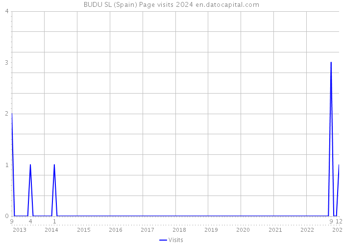 BUDU SL (Spain) Page visits 2024 