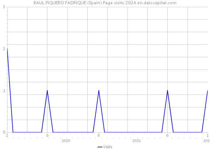 RAUL PIQUERO FADRIQUE (Spain) Page visits 2024 