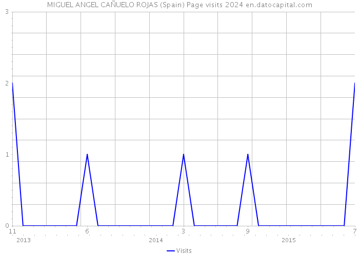 MIGUEL ANGEL CAÑUELO ROJAS (Spain) Page visits 2024 