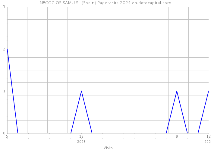 NEGOCIOS SAMU SL (Spain) Page visits 2024 