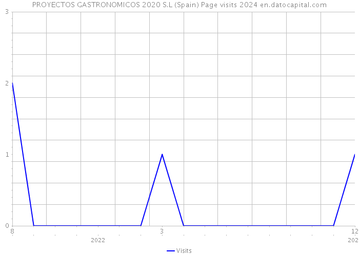 PROYECTOS GASTRONOMICOS 2020 S.L (Spain) Page visits 2024 