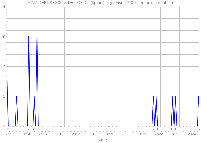 LAVANDEROS COSTA DEL SOL SL (Spain) Page visits 2024 