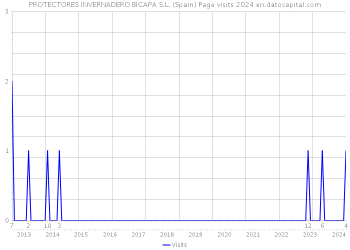 PROTECTORES INVERNADERO BICAPA S.L. (Spain) Page visits 2024 