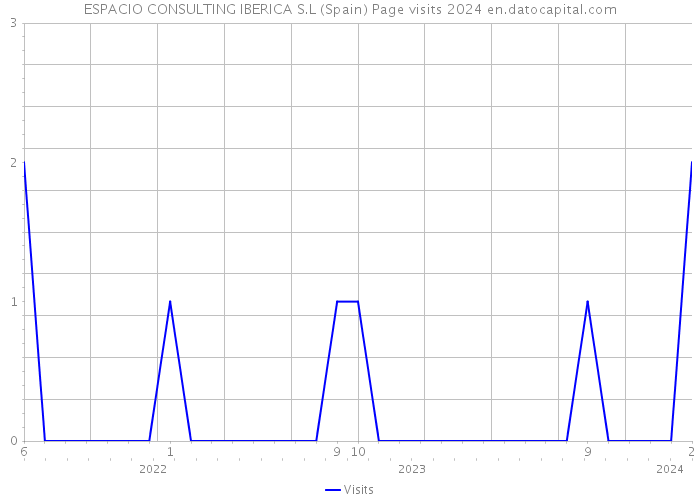 ESPACIO CONSULTING IBERICA S.L (Spain) Page visits 2024 