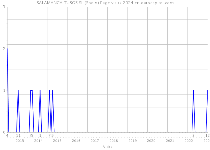 SALAMANCA TUBOS SL (Spain) Page visits 2024 