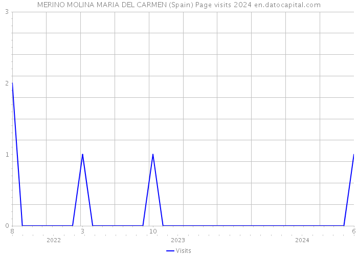 MERINO MOLINA MARIA DEL CARMEN (Spain) Page visits 2024 