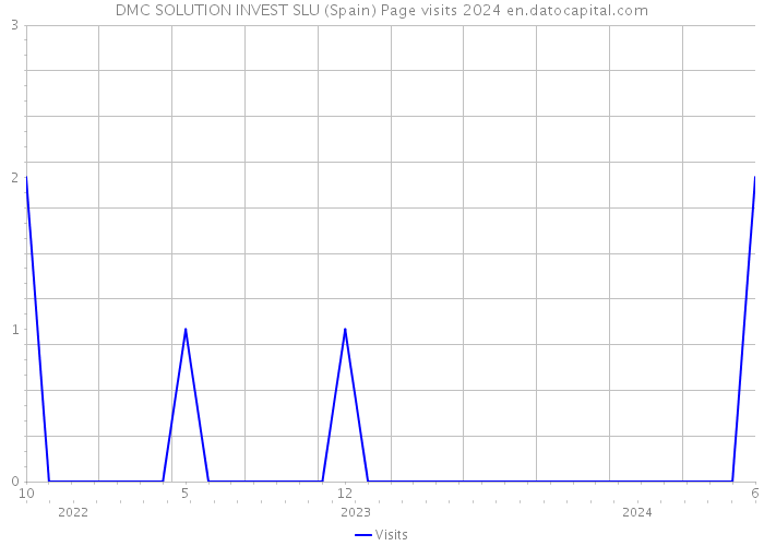 DMC SOLUTION INVEST SLU (Spain) Page visits 2024 