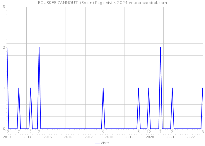 BOUBKER ZANNOUTI (Spain) Page visits 2024 
