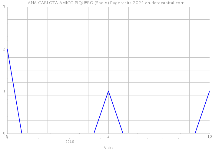 ANA CARLOTA AMIGO PIQUERO (Spain) Page visits 2024 