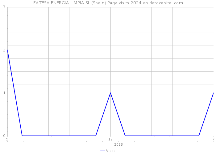 FATESA ENERGIA LIMPIA SL (Spain) Page visits 2024 