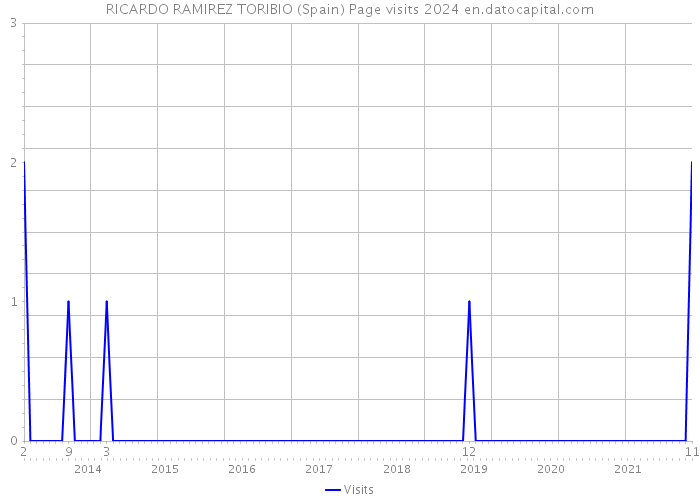 RICARDO RAMIREZ TORIBIO (Spain) Page visits 2024 