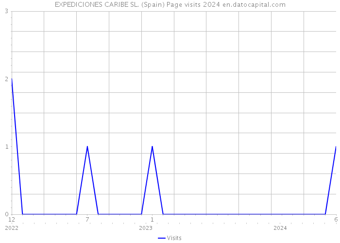 EXPEDICIONES CARIBE SL. (Spain) Page visits 2024 