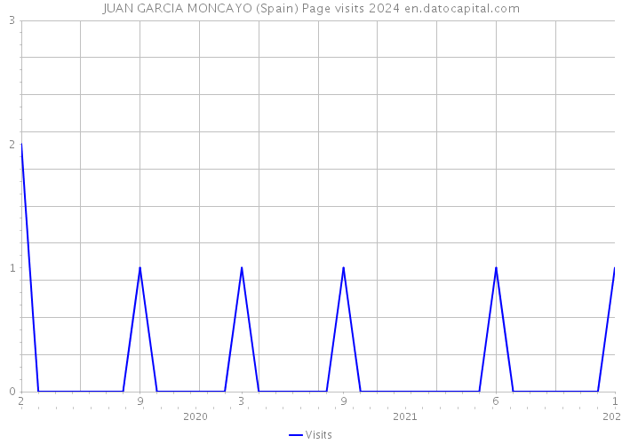 JUAN GARCIA MONCAYO (Spain) Page visits 2024 
