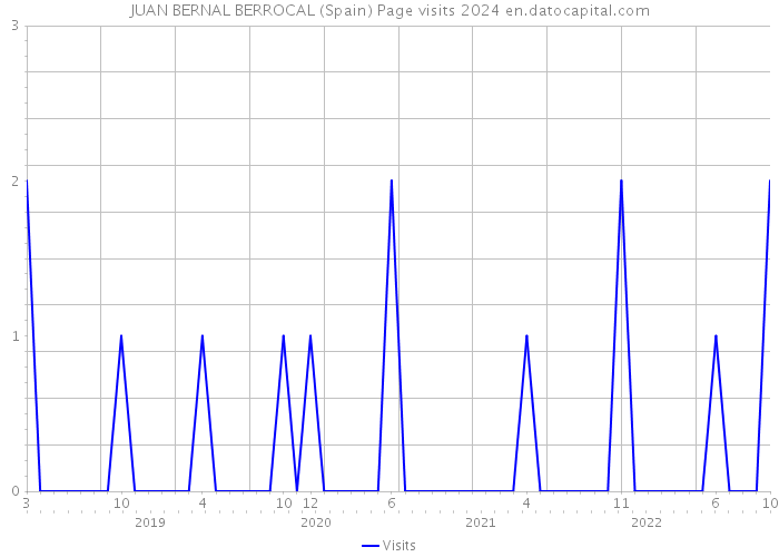 JUAN BERNAL BERROCAL (Spain) Page visits 2024 