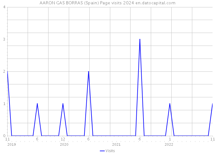 AARON GAS BORRAS (Spain) Page visits 2024 