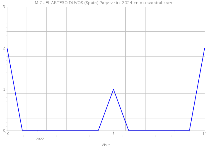 MIGUEL ARTERO DUVOS (Spain) Page visits 2024 