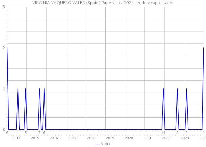 VIRGINIA VAQUERO VALER (Spain) Page visits 2024 