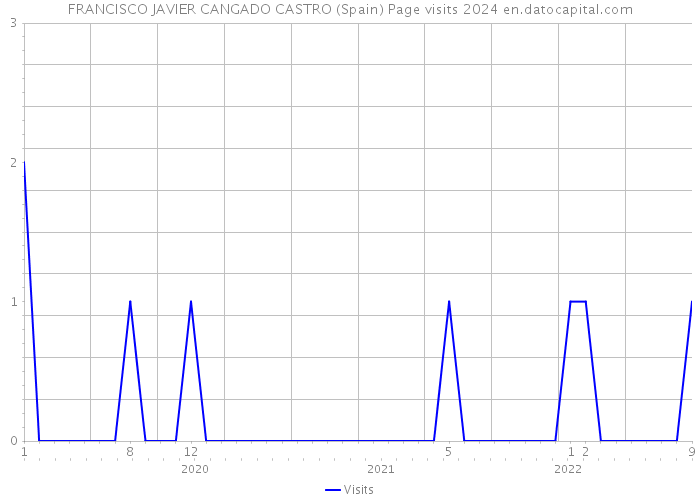 FRANCISCO JAVIER CANGADO CASTRO (Spain) Page visits 2024 