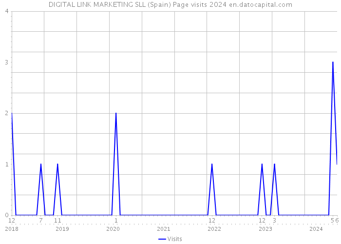 DIGITAL LINK MARKETING SLL (Spain) Page visits 2024 