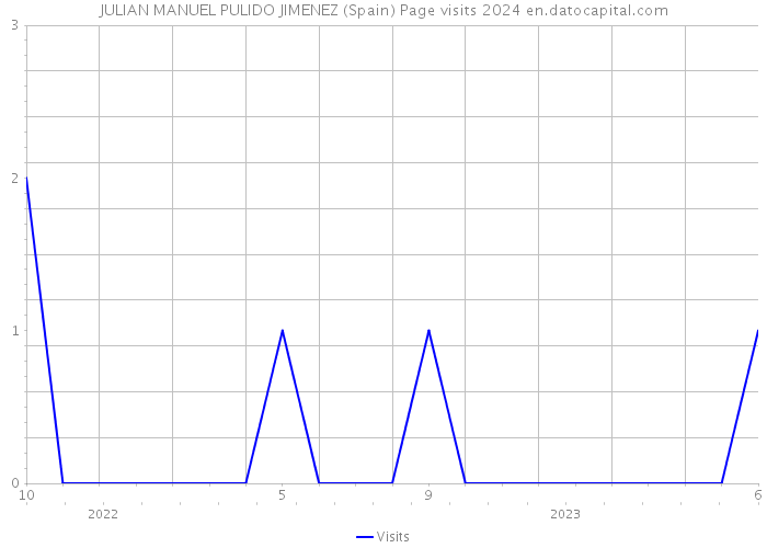 JULIAN MANUEL PULIDO JIMENEZ (Spain) Page visits 2024 
