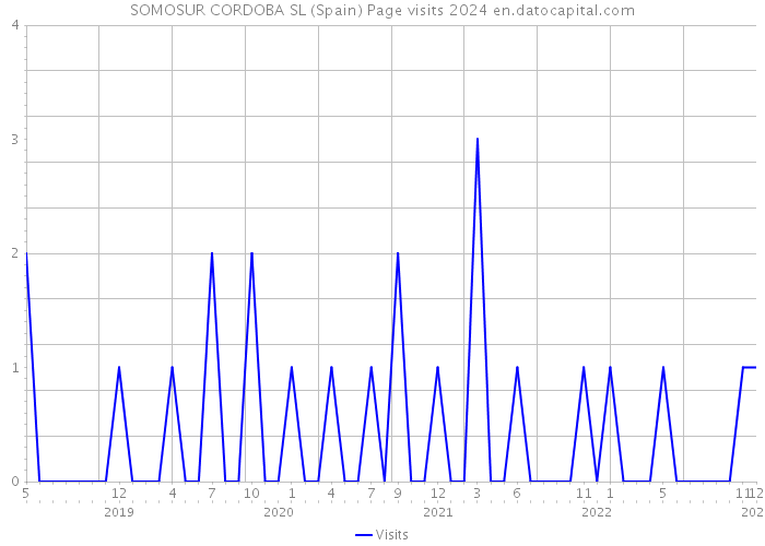 SOMOSUR CORDOBA SL (Spain) Page visits 2024 