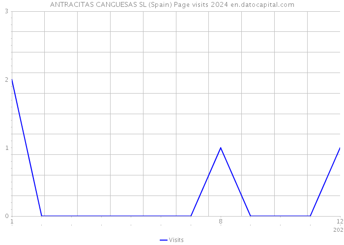 ANTRACITAS CANGUESAS SL (Spain) Page visits 2024 