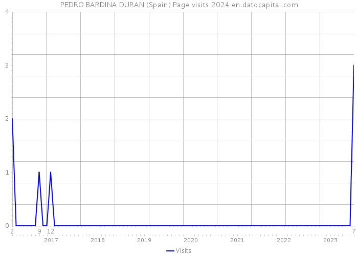 PEDRO BARDINA DURAN (Spain) Page visits 2024 