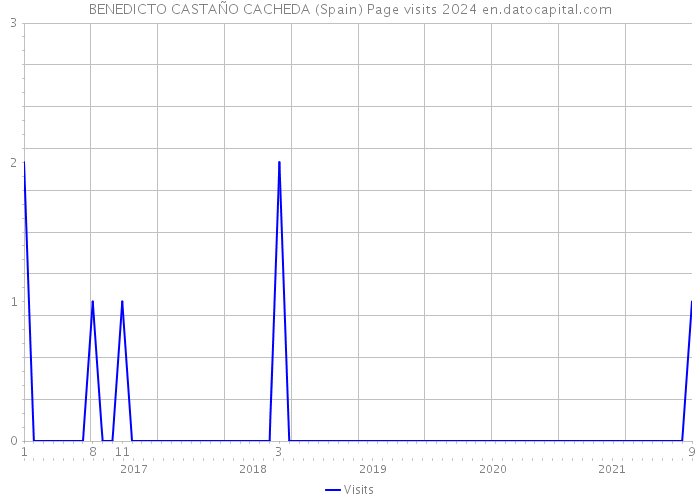 BENEDICTO CASTAÑO CACHEDA (Spain) Page visits 2024 