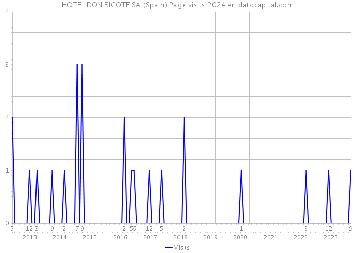 HOTEL DON BIGOTE SA (Spain) Page visits 2024 