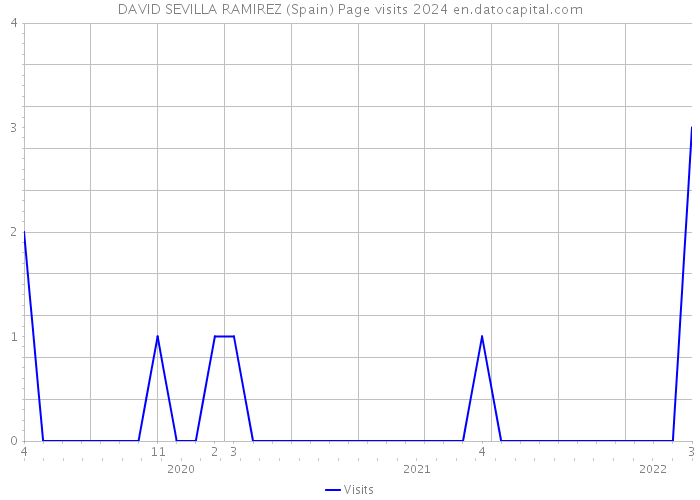 DAVID SEVILLA RAMIREZ (Spain) Page visits 2024 