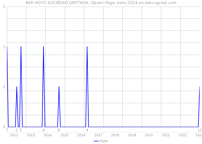 BAR HOYO SOCIEDAD LIMITADA. (Spain) Page visits 2024 