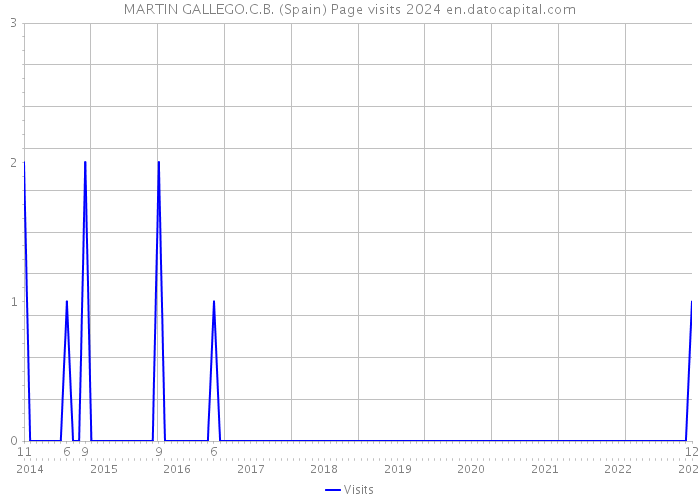 MARTIN GALLEGO.C.B. (Spain) Page visits 2024 