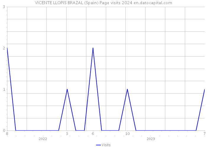 VICENTE LLOPIS BRAZAL (Spain) Page visits 2024 