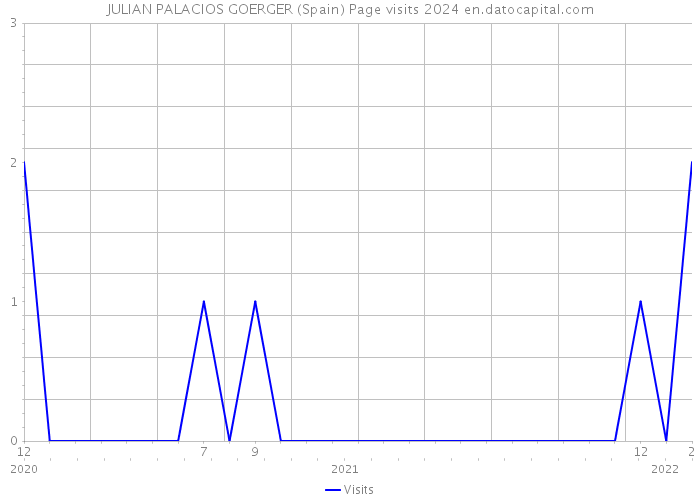 JULIAN PALACIOS GOERGER (Spain) Page visits 2024 