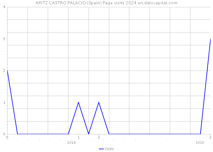 ARITZ CASTRO PALACIO (Spain) Page visits 2024 