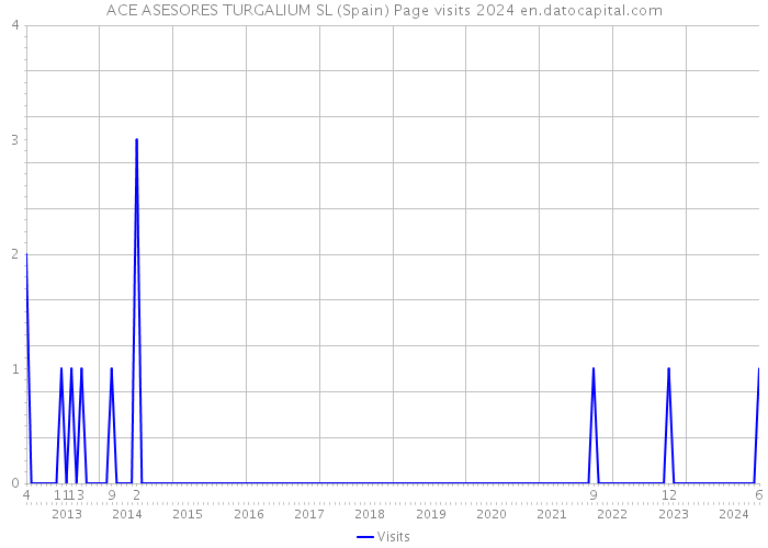 ACE ASESORES TURGALIUM SL (Spain) Page visits 2024 