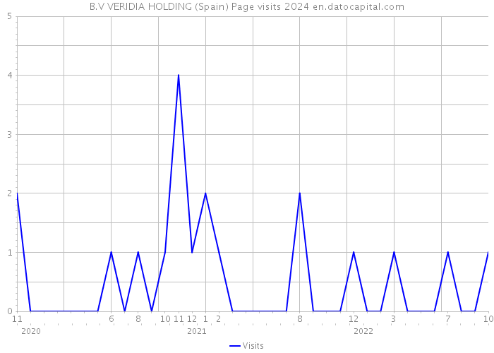 B.V VERIDIA HOLDING (Spain) Page visits 2024 