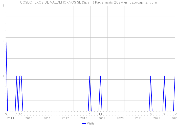 COSECHEROS DE VALDEHORNOS SL (Spain) Page visits 2024 