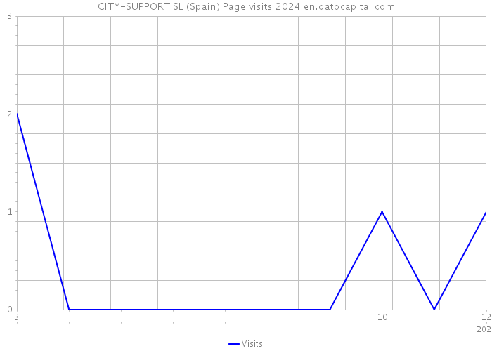 CITY-SUPPORT SL (Spain) Page visits 2024 
