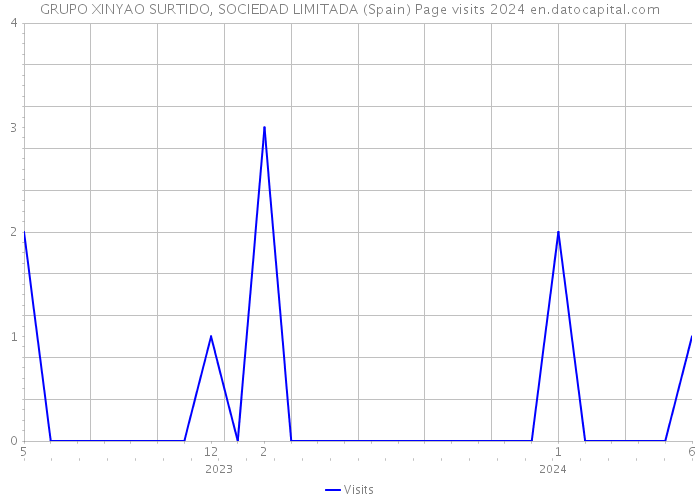 GRUPO XINYAO SURTIDO, SOCIEDAD LIMITADA (Spain) Page visits 2024 