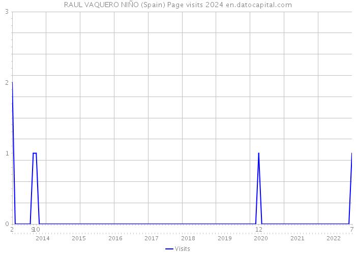 RAUL VAQUERO NIÑO (Spain) Page visits 2024 