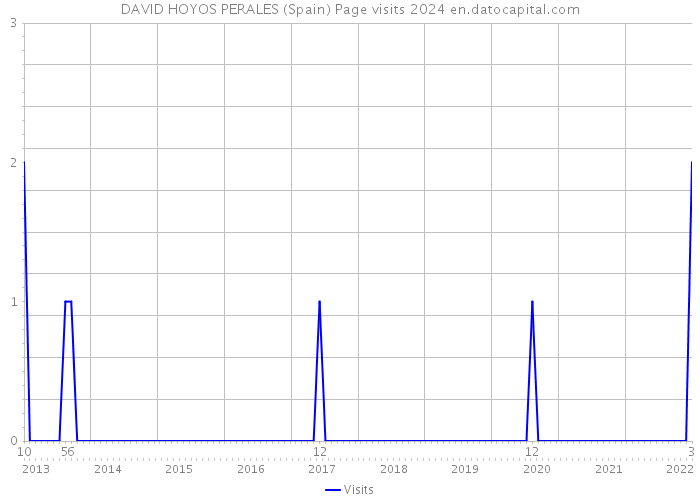 DAVID HOYOS PERALES (Spain) Page visits 2024 