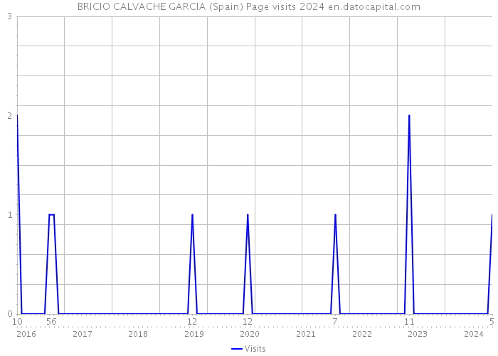 BRICIO CALVACHE GARCIA (Spain) Page visits 2024 
