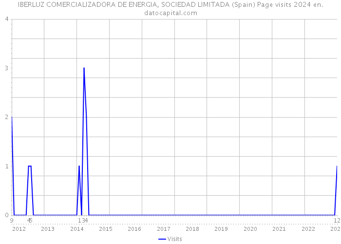 IBERLUZ COMERCIALIZADORA DE ENERGIA, SOCIEDAD LIMITADA (Spain) Page visits 2024 
