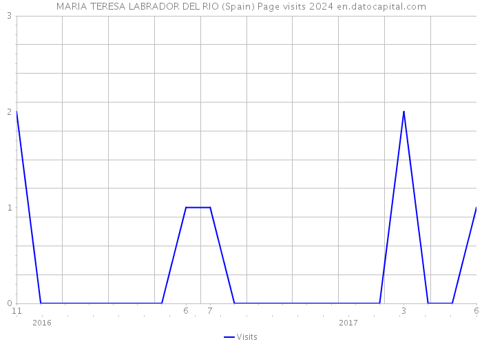 MARIA TERESA LABRADOR DEL RIO (Spain) Page visits 2024 